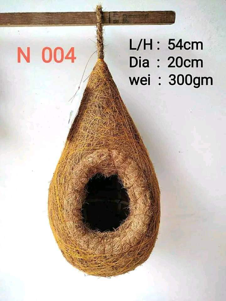 Birds Nest