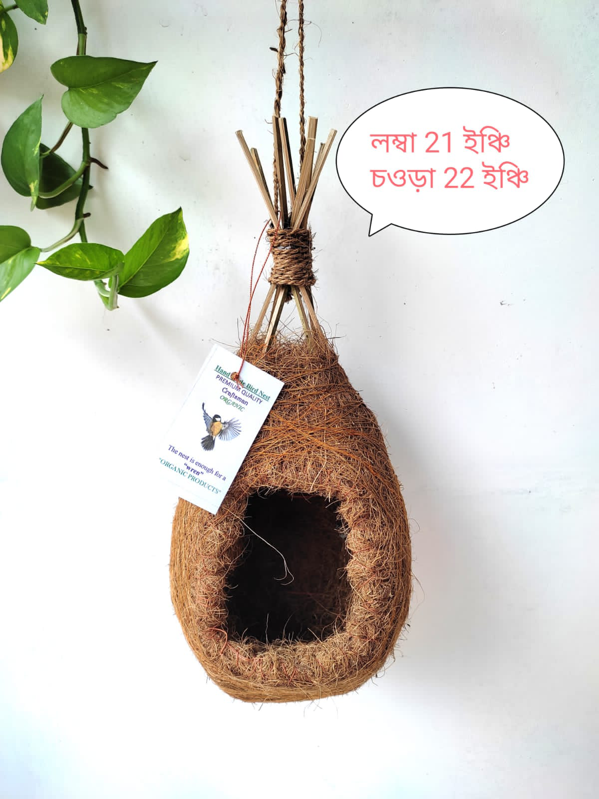 Birds Nest