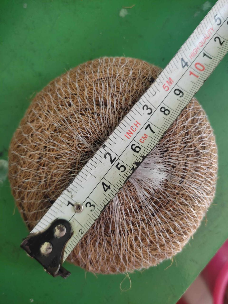 Coconut Straw Made Scrubber